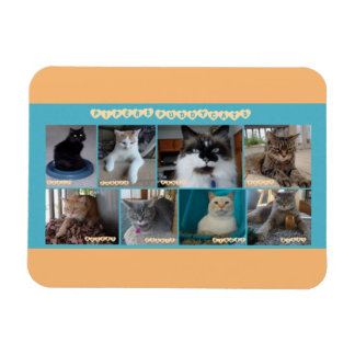 Íman 3 x 4 ímã flexível