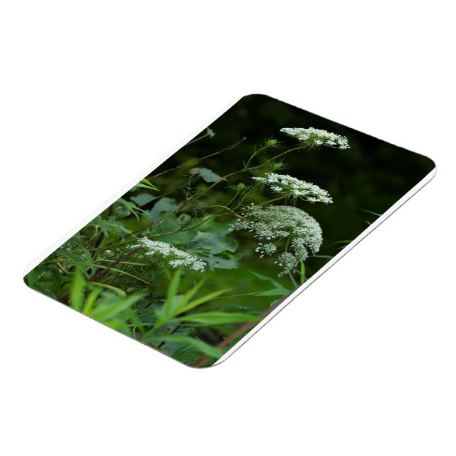 Íman 3x4 modelo de ímã de refrigeração (Left Side)