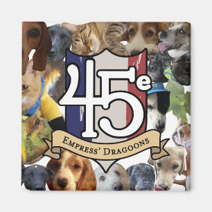 Íman 45e animais de estimação no seu frigorífico