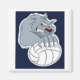 Íman 49ers | Calamita