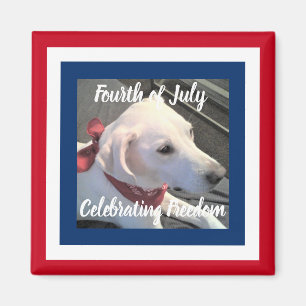 Íman 4 de julho Cachorro Vermelho Azul Cachorro Vestido