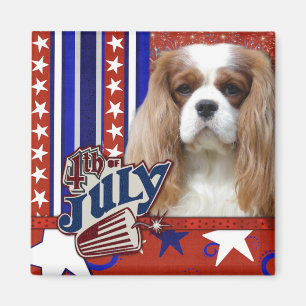 Íman 4 de julho foguete - Cavalier - Blenheim