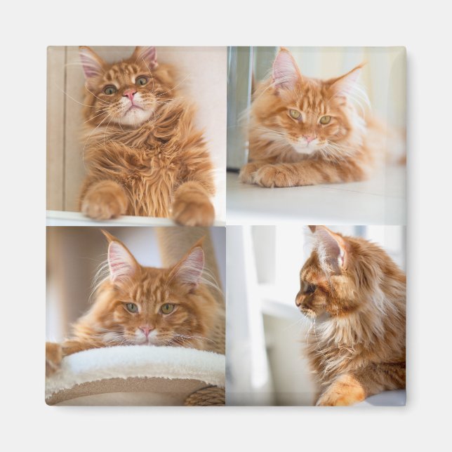 Íman 4 Quatro Cheio de Colagem de Fotografias (Frente)