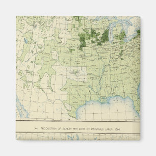 Íman 50 Cevada 1890