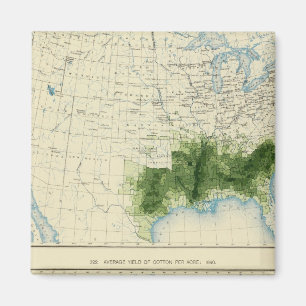 Íman 52 Algodão 1890