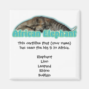 Íman 5 ímãs grandes do safari dos animais selvagens d