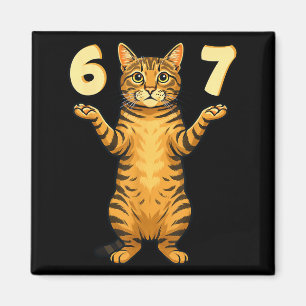 Íman 67 Meme de Gato Engraçado Gíria da Geração Alpha H