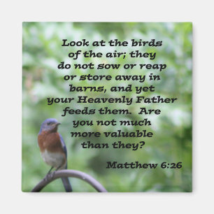 Íman 6:26 de Matthew