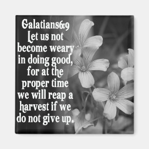 ÍMAN 6:9 DA ESCRITURA GALATIANS DA BÍBLIA
