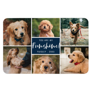 Íman 6 Fotos Colagem Você É Meu Funshine Marinho