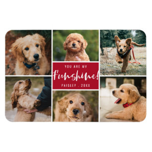 Íman 6 Fotos Colagem Você É Meu Funshine  Red Pet