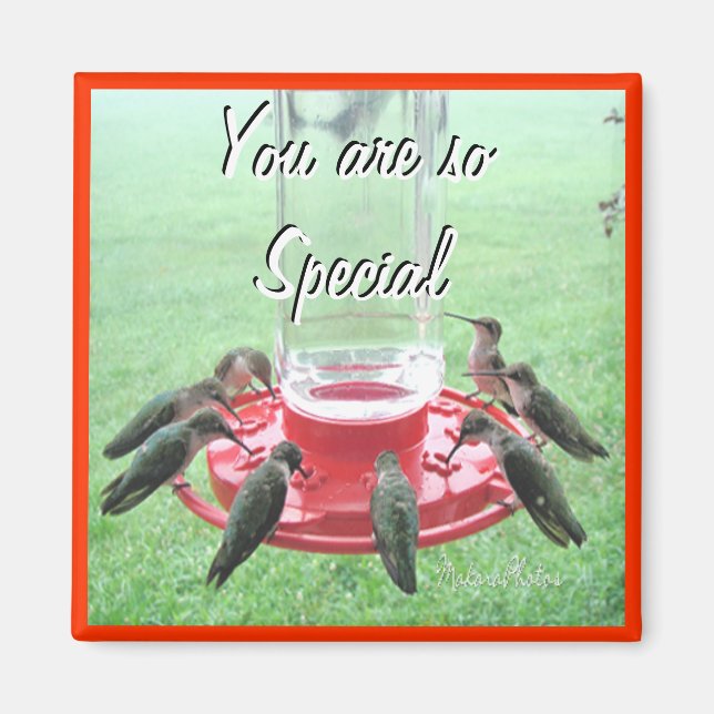 Íman 7 Hummingbird- personalizar (Frente)