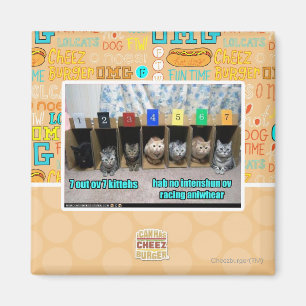 Íman 7 para fora kittehs do ov 7