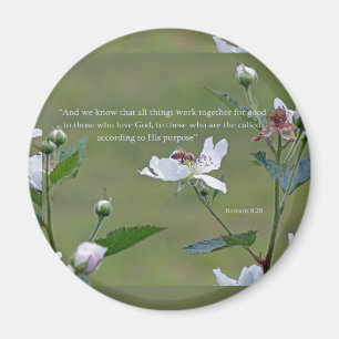 Íman 8:28 dos romanos