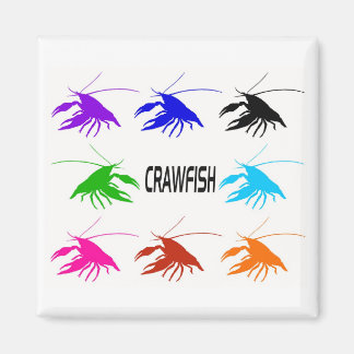 Íman 8 crawfish