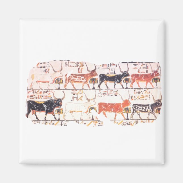 Íman 8 vacas (Frente)