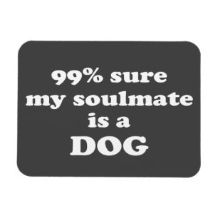 Íman 99% certo meu soulmate é um cão - citações