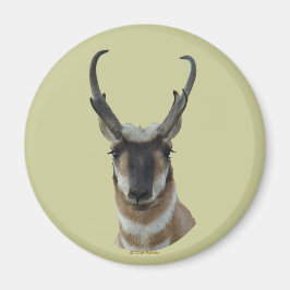 Íman A19 Pronghorn Antelope Dark Face Buck Head Shot