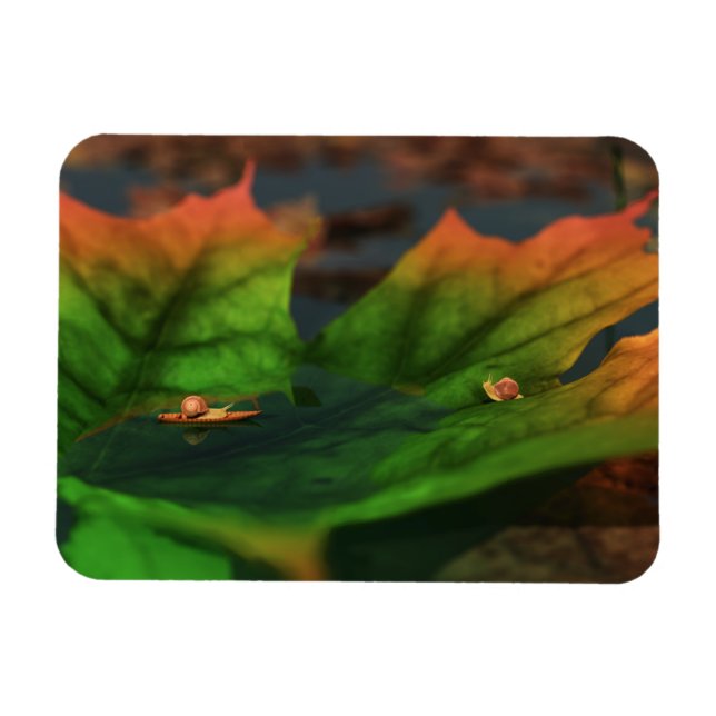 Íman A Água É Um Grande Magneta Flexível (Horizontal)