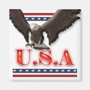 Íman A águia patriótica dos EUA stars listras
