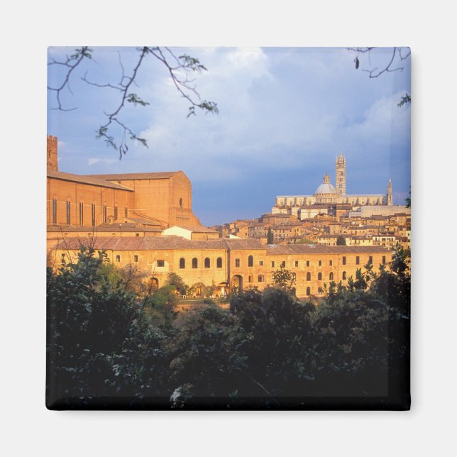 Íman A aldeia toscana de Sienna, Itália. (Frente)