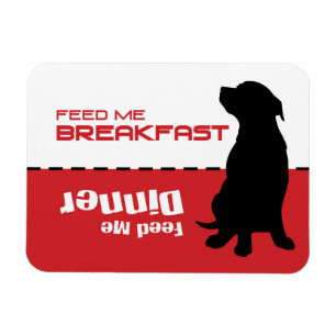 Íman A alimentação do cão alimenta-me que o cão do