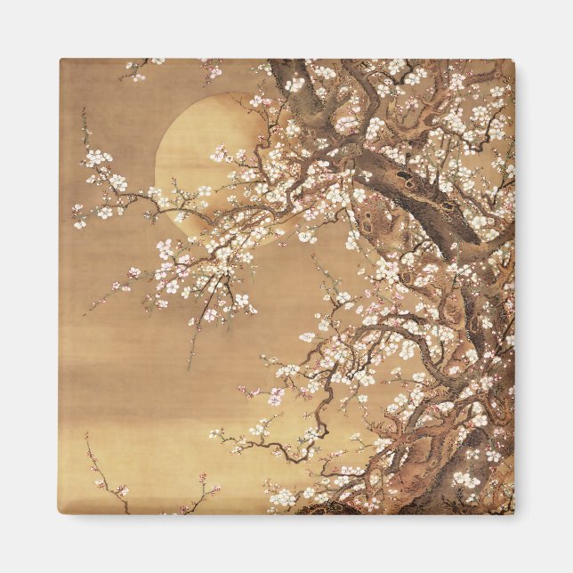 Íman A ameixa japonesa floresce à lua (Frente)