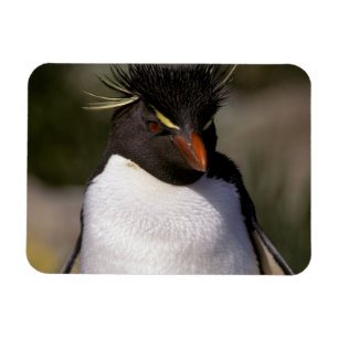 Íman A Antártica, ilhas Secundário-Antárcticas, 5 su