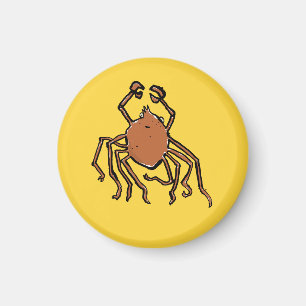 Íman a aranha-do-mar groovy