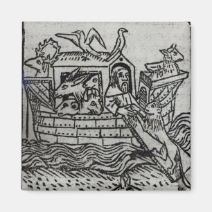 Íman A arca de Noah