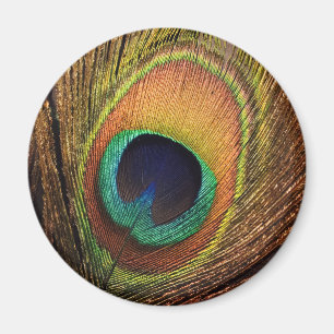 Íman A arte 4Wilma da natureza