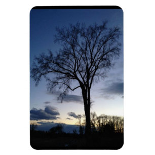Íman A árvore no ímã crepuscular