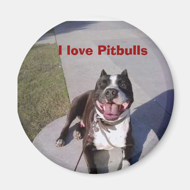 Íman A aula de Roscoe, eu adoro Pitbulls (Frente)