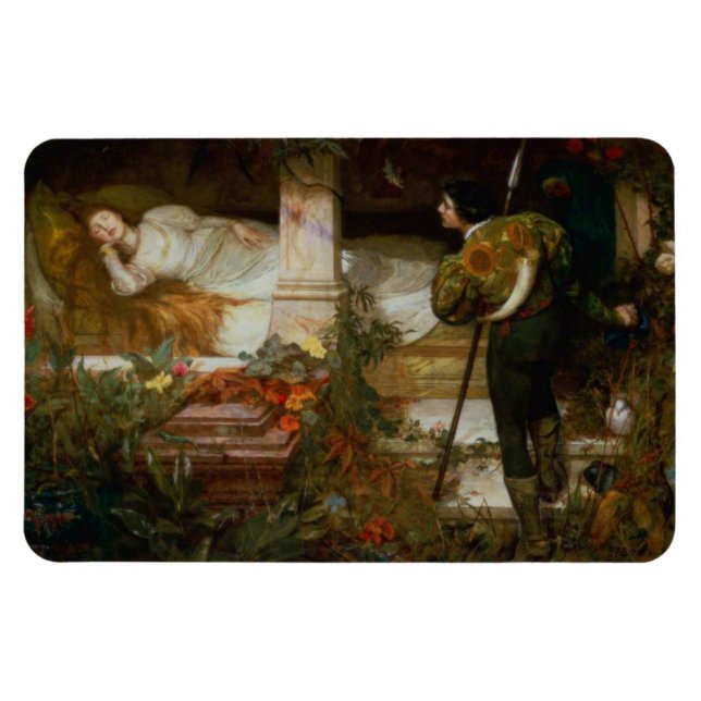 Íman A Bela Adormecida (Cena de Conto de Fadas Enfeitiç (Horizontal)