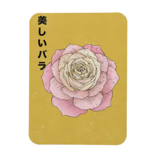 Íman A Bela Rosa