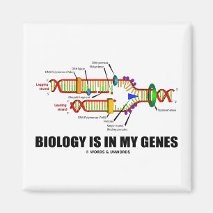 Íman A biologia está em meus genes (a réplica do ADN)