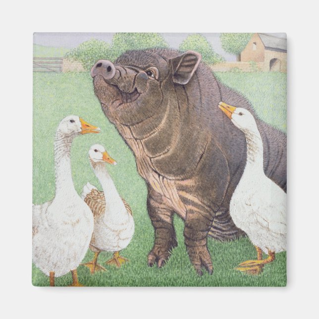 Íman A boa vida (Frente)