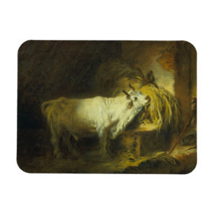 Íman A Bull branca no estável (óleo em canvas)