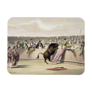 Íman A Bull que pula as barreiras, 1865 (litho da cor)