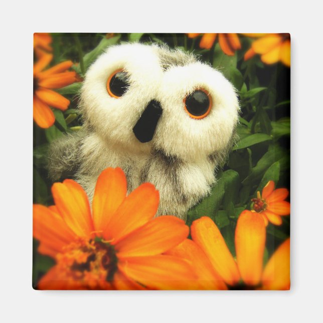 Íman A Busca Por Fadas Continua... (Frente)