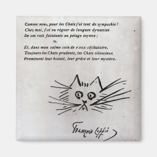 Íman A cabeça do gato