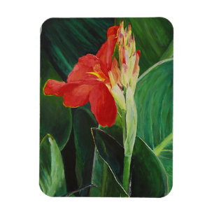 Íman A Canna - Magnet