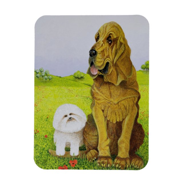 Íman A cargo (Vertical)