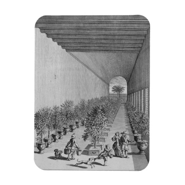 Íman A casa de força, de De Nederlandze Hesperides (Vertical)