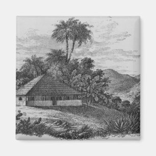 Íman A casa de um plantador em Brasil