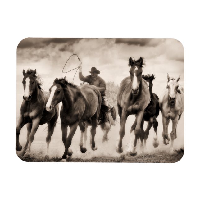 Íman A Chase I (Horizontal)