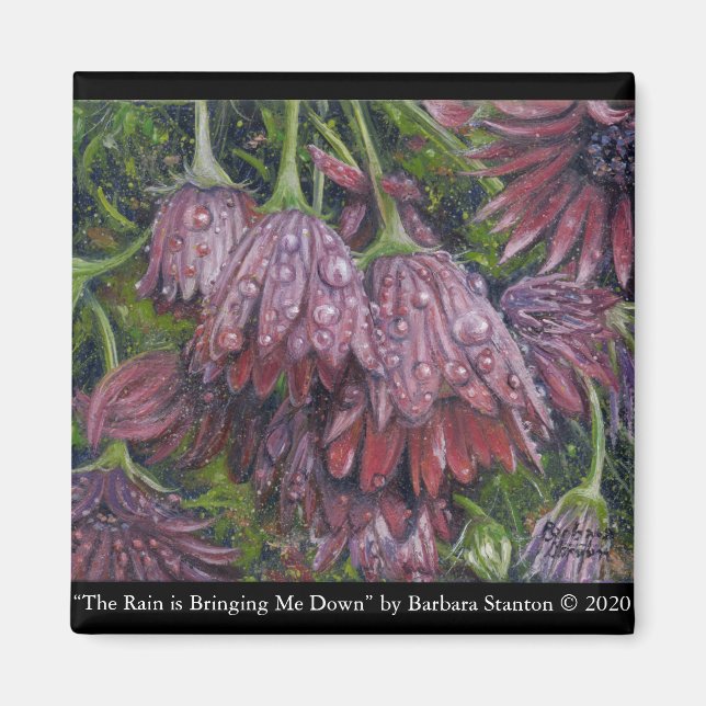 Íman "A chuva está me derrubando" (Frente)