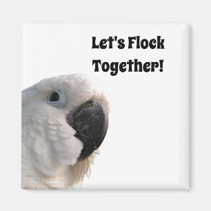 Íman A Cockatoo do Dia da Amizade Junta Foto Engraçada