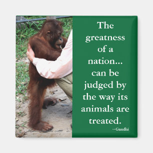 Íman A cotação animal de Gandhi