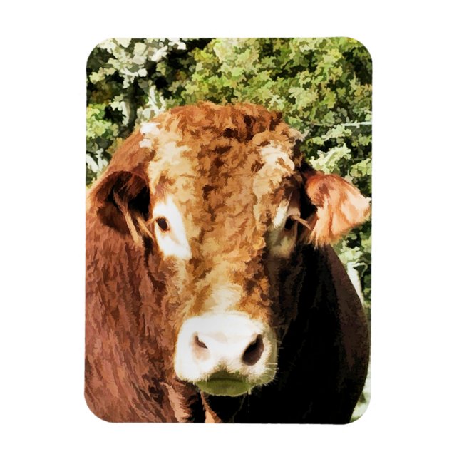 ÍMAN  A CULPA (Vertical)